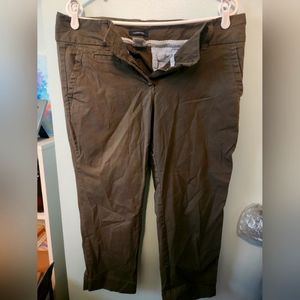 Tan Green Lands End Pants